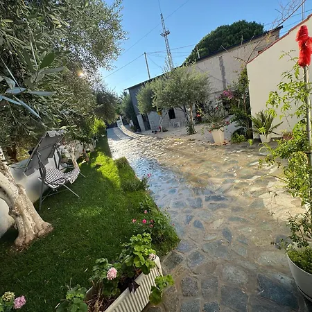 Rent Albano Wlora